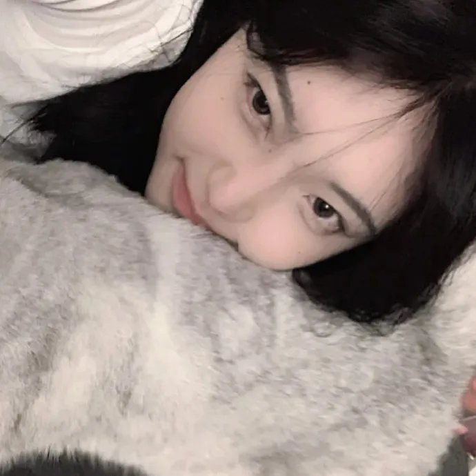 探灵档案海报