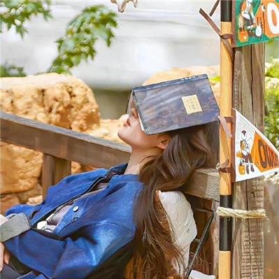 我们的傻老哥海报