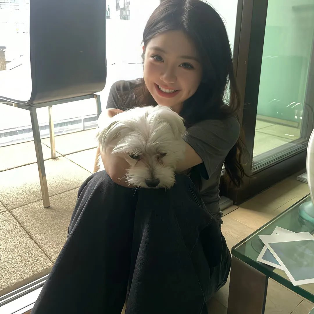 毛丰美海报