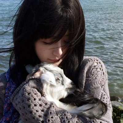 傅满洲的鼓海报